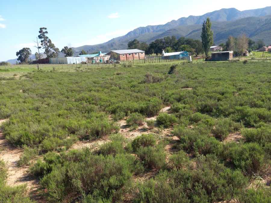 Commercial Property for Sale in Haarlem Western Cape